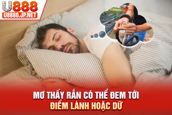 Mơ thấy rắn có thể đem tới điểm lành hoặc dữ