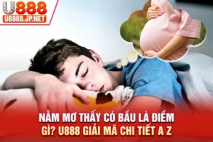 Nằm Mơ Thấy Có Bầu Là Điềm Gì? U888 Giải Mã Chi Tiết A - Z